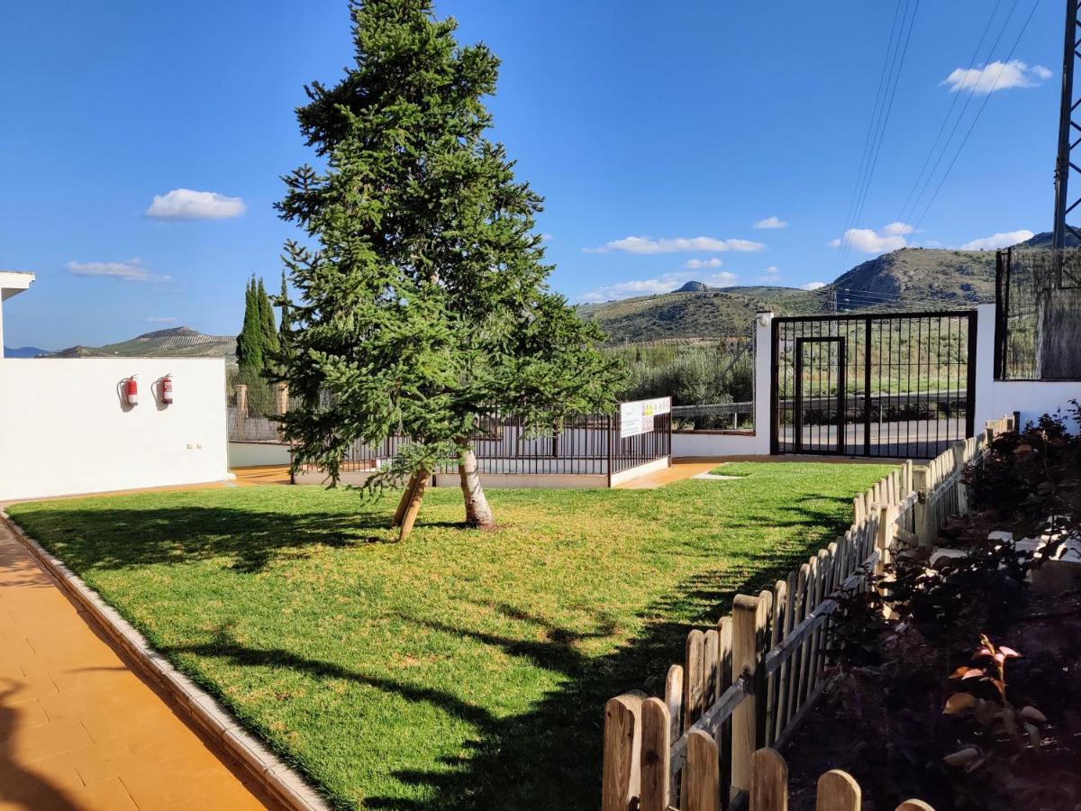 Apartamento Rural Villa Aurora Luque エクステリア 写真