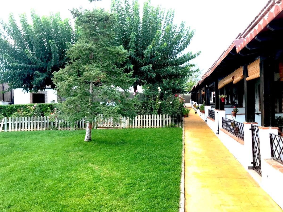 Apartamento Rural Villa Aurora Luque エクステリア 写真